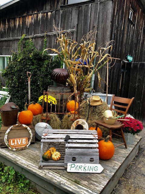 various items and signs among bales of hay and pumpkins