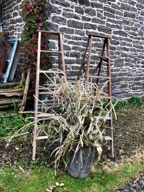 two wooden step ladders against a stone wall