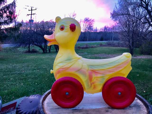 childs toy - a duck on wheels