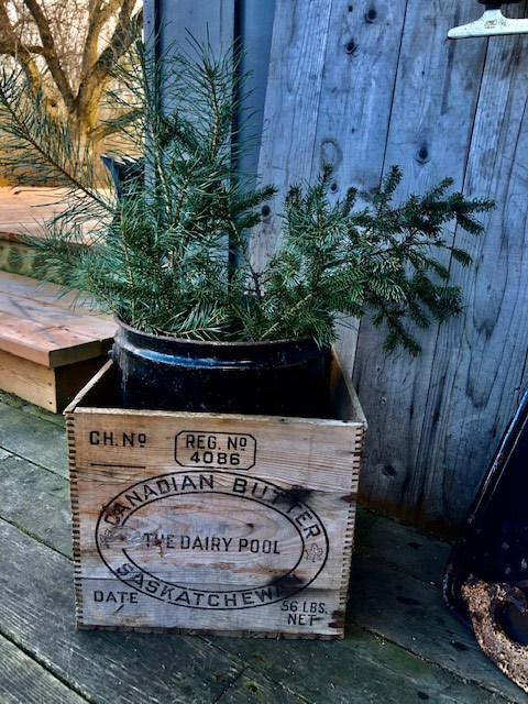 pine branches in a drum in a wooden canadian butter crate