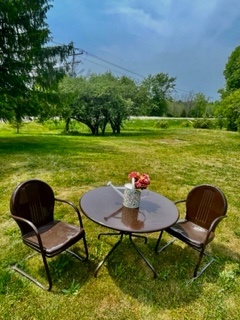 2 chari and round table kept in open lawn