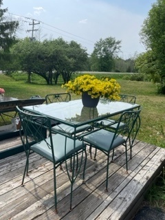 chair and glass top table kept in open garden