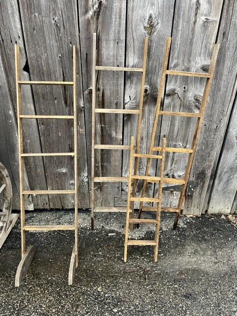 Wooden plant stands leaning against a weathered wooden wall on gravel ground.