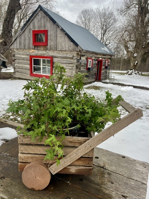 Wooden planter cart with green plants in front of a rustic cabin in a snowy yard.